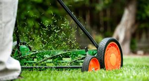 professional lawn care services in New Ipswich, NH