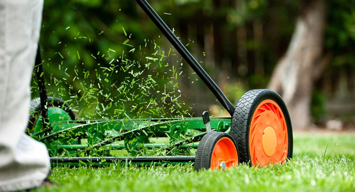 professional lawn care services in New Ipswich, NH